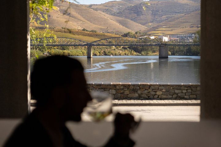 Porto - Douro Valley: Boat, Train, Wine Tasting & Lunch Included