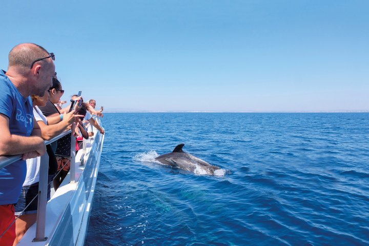 Vilamoura: Dolphins & Benagil Caves - Catamaran