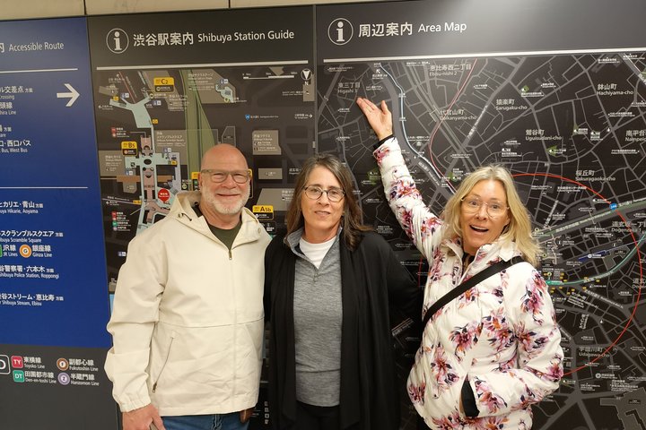 Best of Tokyo Private Tour from Yokohama & Tokyo Ports or Hotels