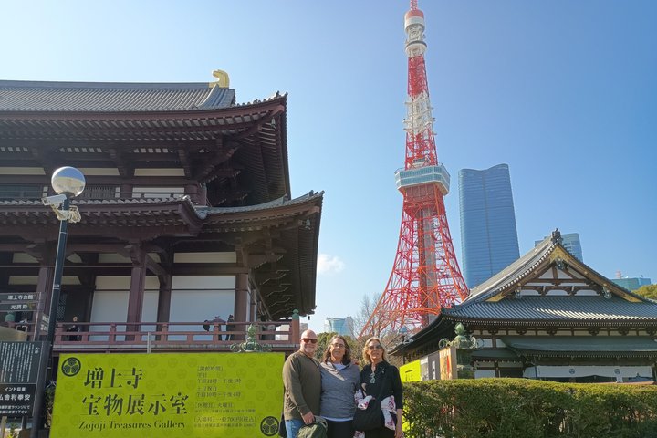Best of Tokyo Private Tour from Yokohama & Tokyo Ports or Hotels