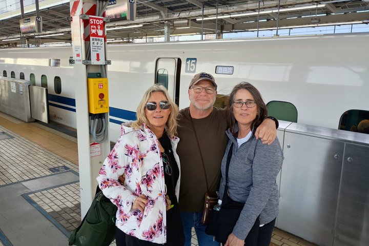 Best of Tokyo Private Tour from Yokohama & Tokyo Ports or Hotels
