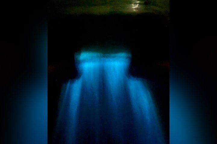 Biobay Vieques Tour Kayak Night Tour