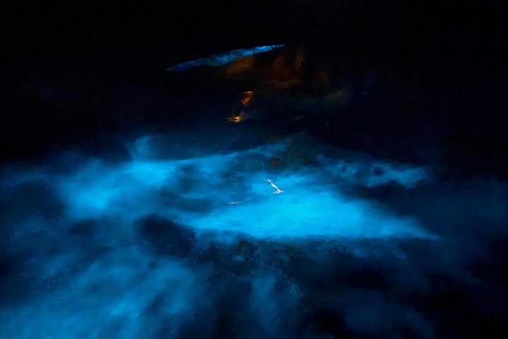 Biobay Vieques Tour Kayak Night Tour