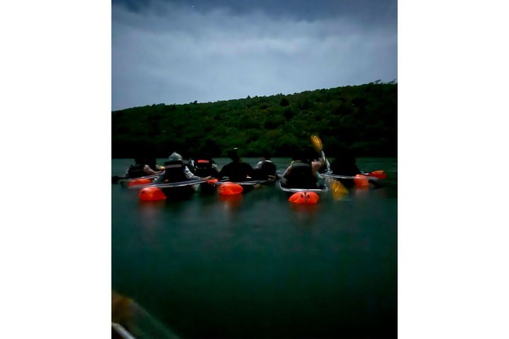 Biobay Vieques Tour Kayak Night Tour