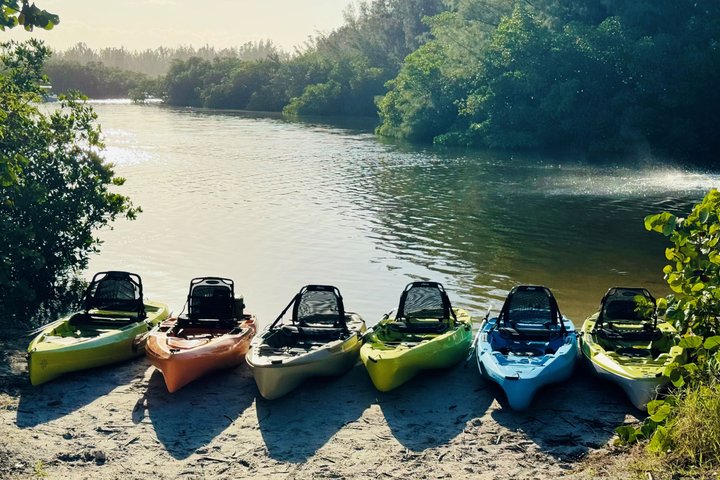 Kickin’ Kayaks Morning Wildlife Tour
