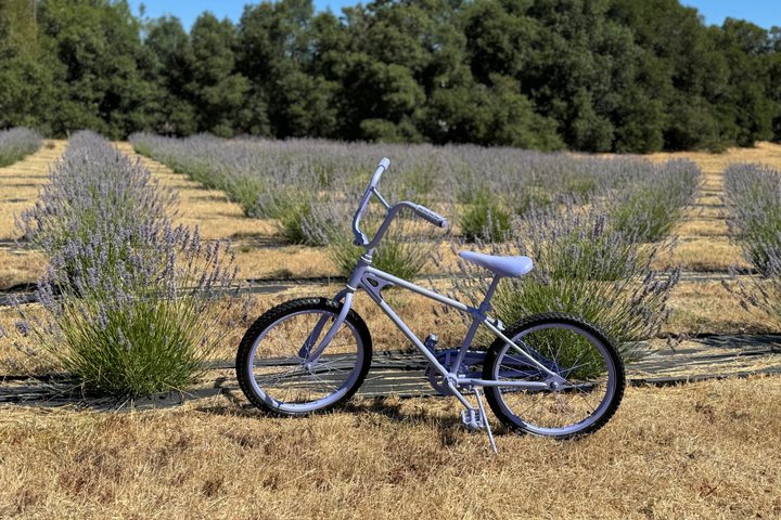 Mendocino Lavender Farm Tour
