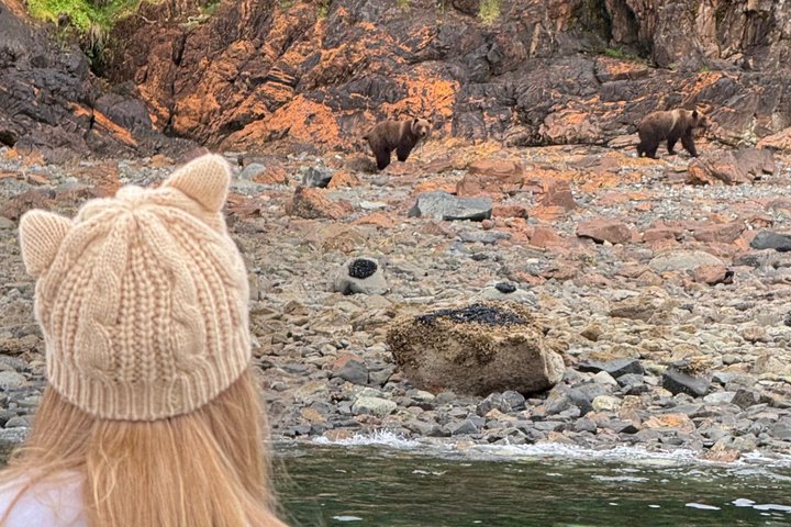 Whale Watching and Bear Search-Icy Strait Point