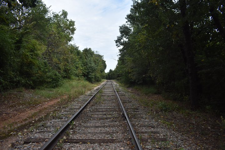 Rail Cruiser Experience