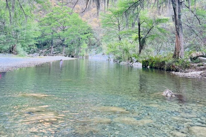 Cozumelito in MTY The Caribbean Hidden Between Mountains