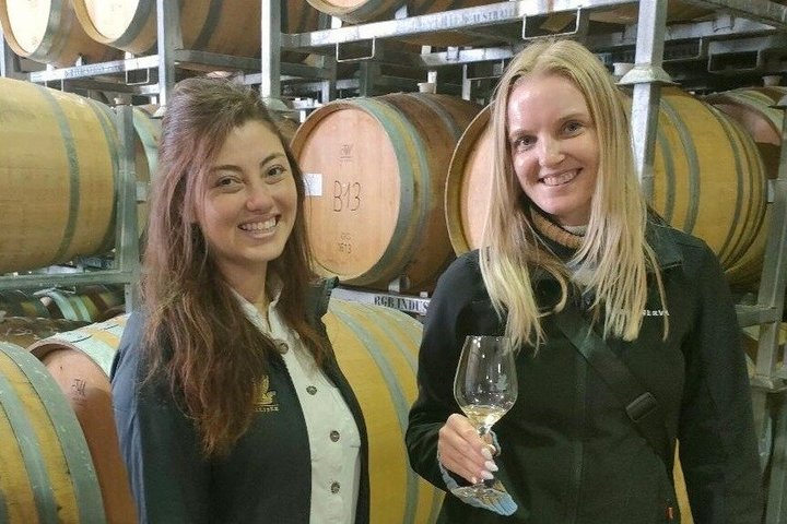 Private Martinborough Wine Tour for Wine Enthusiasts