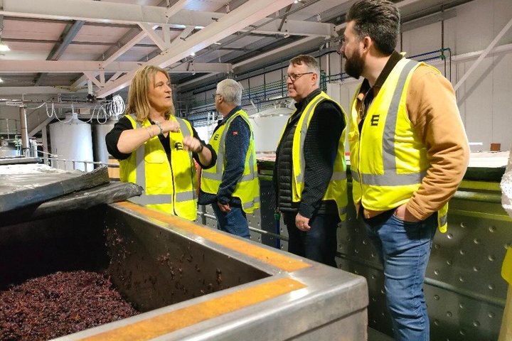 Private Martinborough Wine Tour for Wine Enthusiasts