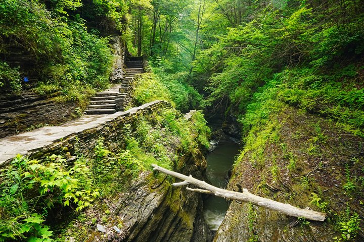 Self-Guided Finger Lakes NY Audio Tour: Ithaca-Watkins Glen