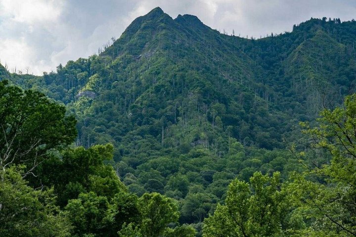 Mystras and Sparta Day Trip Explore Greece Heritage