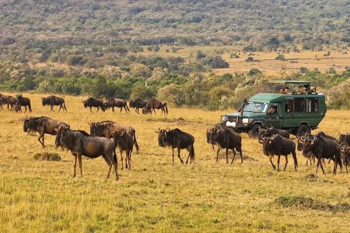 1 Day Tsavo East and West Extreme Wildlife Safari Adventure