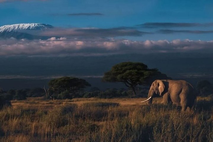 1 Day Tsavo East and West Extreme Wildlife Safari Adventure
