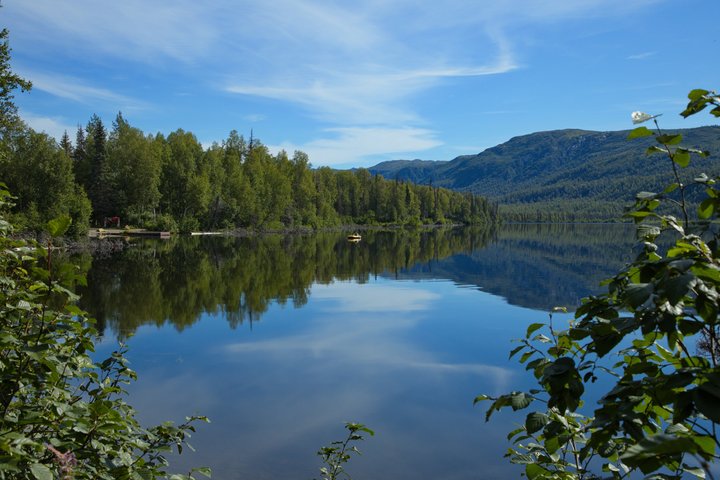 Alaska Road Trip: Anchorage, Seward, Homer & Denali Audio Tour