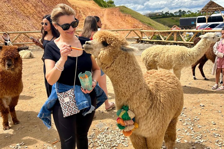 PREMIUM Guatapé Tour: Rock, Luxury boat ride, Meals & Llamas