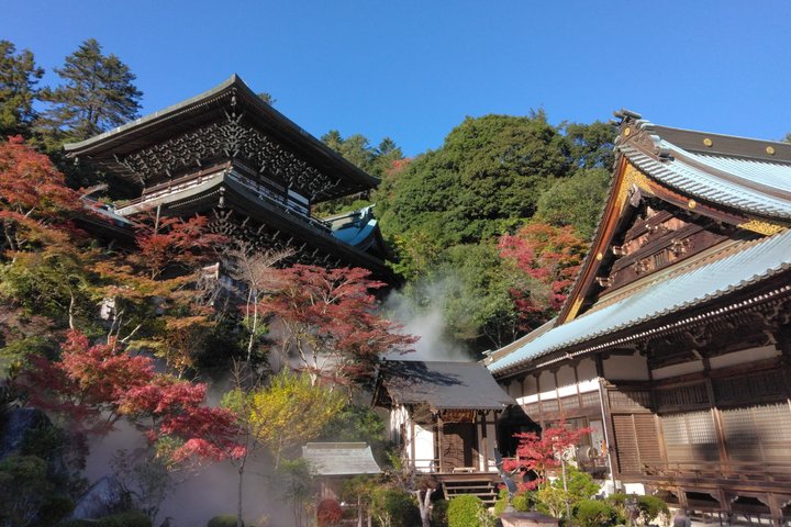 Hiroshima Cruise Pickup : Miyajima & Peace Park Tour with car