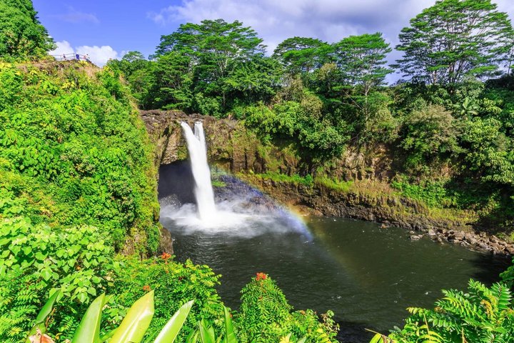 Hilo Cruise Day Tours