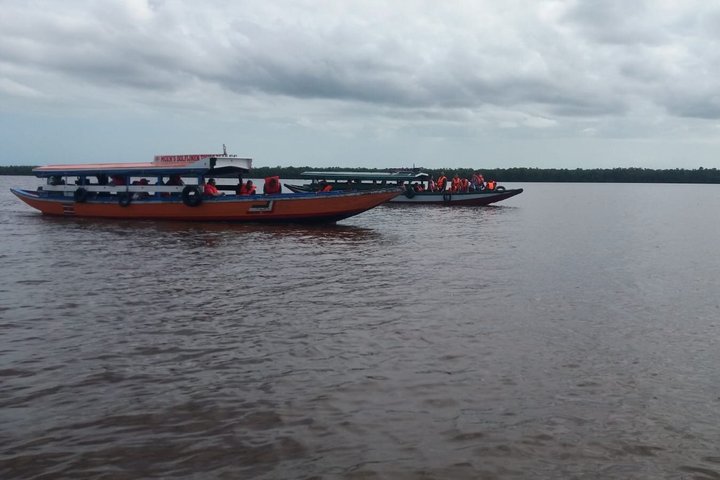 Sunset and Dolphin Tour Suriname