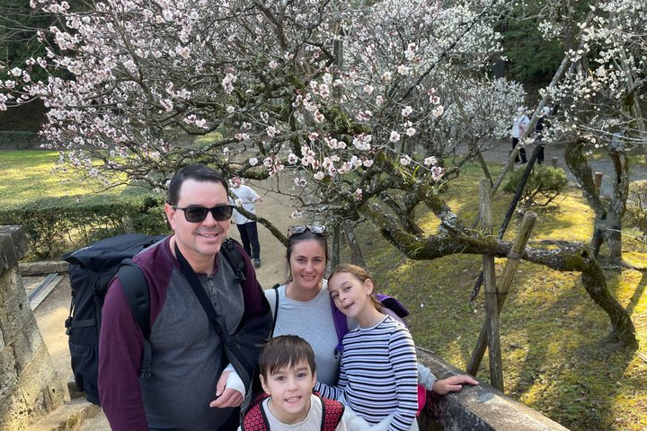 Narita Airport Layover Transit: Guided Private Tour