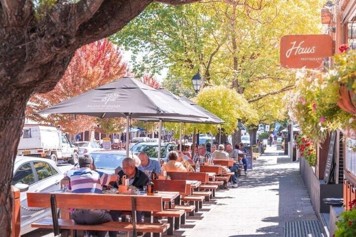 Best of Adelaide- City Highlights (half-day Tour)
