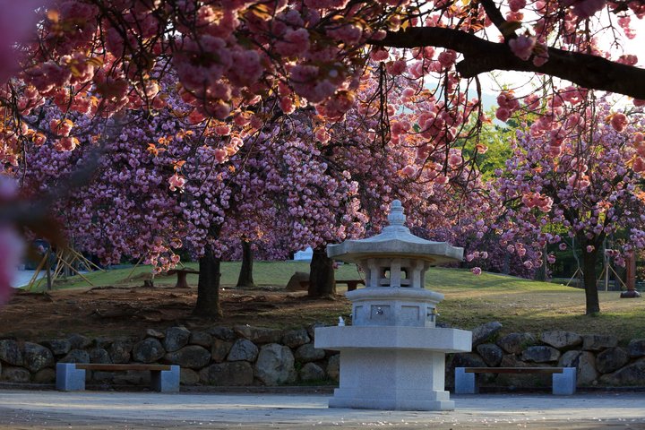 Gyeongju UNESCO World Heritage Guided Day Tour from Busan
