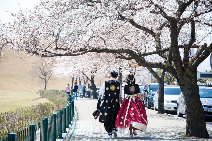 Gyeongju UNESCO World Heritage Guided Day Tour from Busan