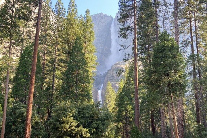 San Francisco to Kings Canyon and Yosemite 2 Day Tour