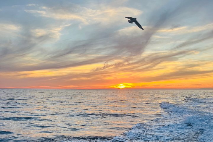 Monterosso : Cinque Terre boat tour day or sunset with aperitif