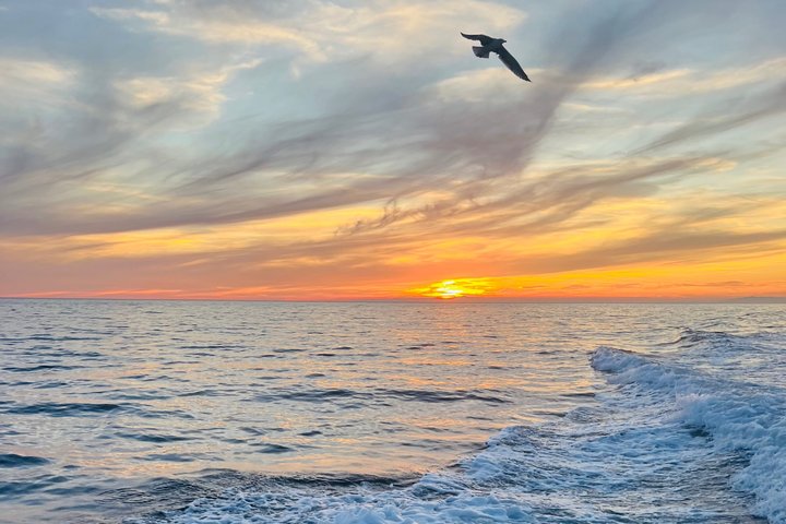 Monterosso : Cinque Terre boat tour day or sunset with aperitif