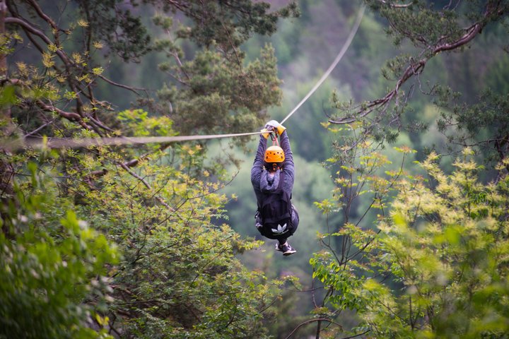 Bled 7-Line Scenic Alpine Zipline Adventure