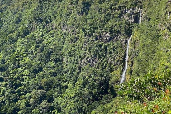 Mauritius Colorful South West tour