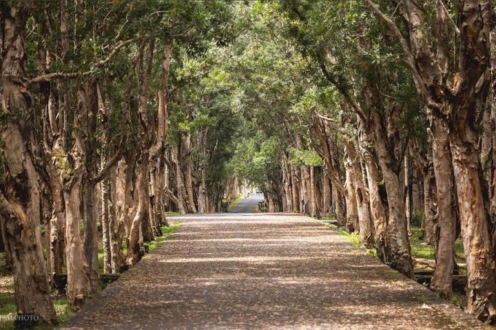 Mauritius Colorful South West tour