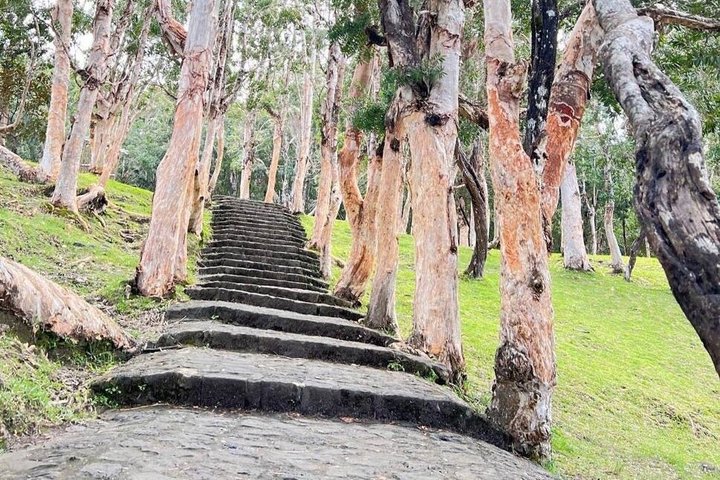 Mauritius Colorful South West tour