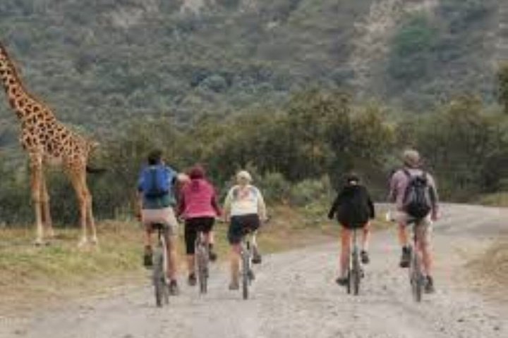 Day Trip To Hells Gate National Park and Lake Naivasha Boat Ride