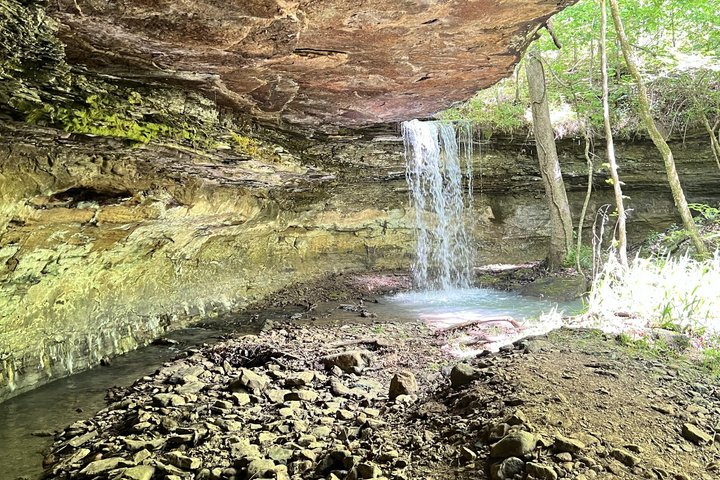 Guided UTV Adventure in Ozark National Forest - 3 Hour Tour