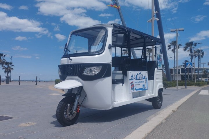 Private TukTuk Tour 2 Hours of Valencia