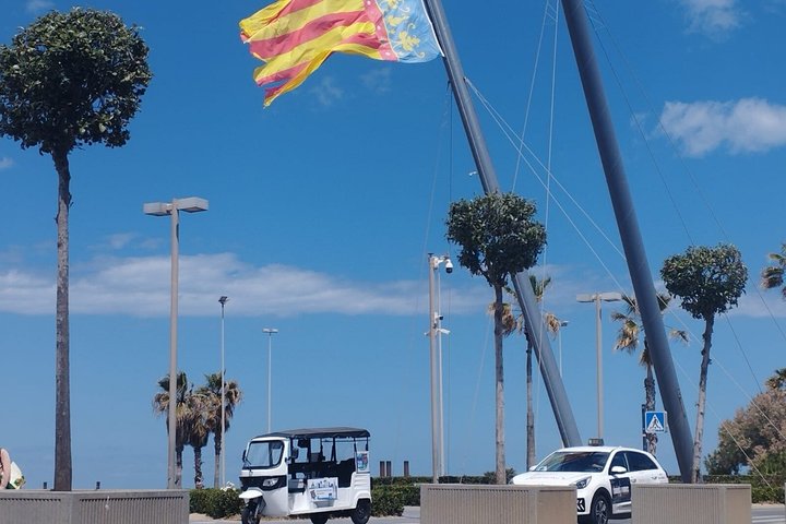 Private TukTuk Tour 2 Hours of Valencia