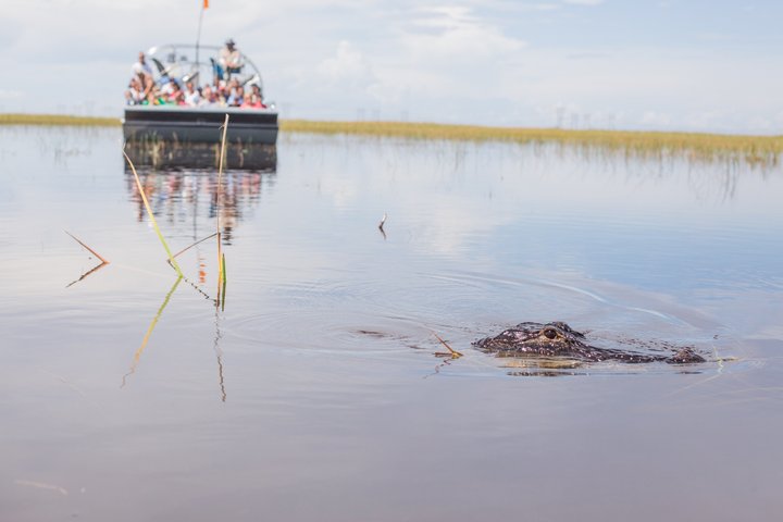 Everglades Airboat, Wildlife Exhibit, & Roundtrip Bus from Miami