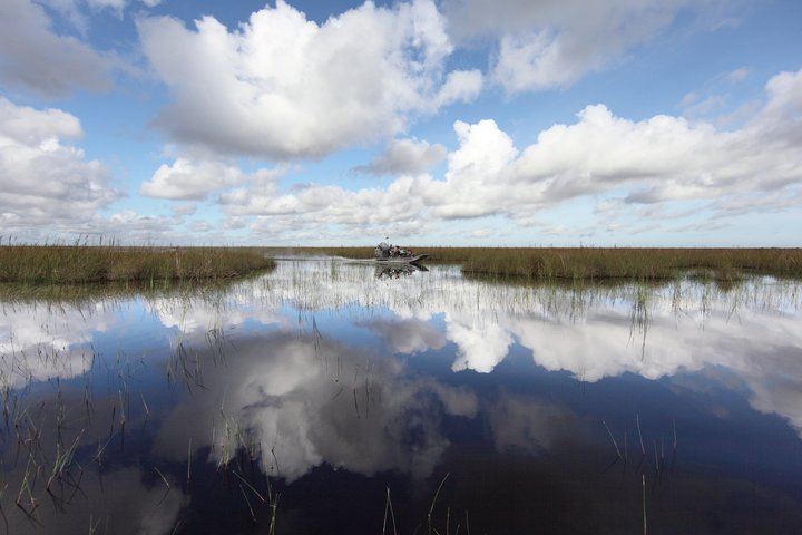 Everglades Airboat, Wildlife Exhibit, & Roundtrip Bus from Miami