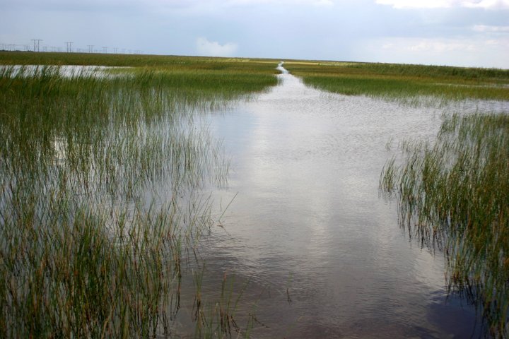 Everglades Airboat, Wildlife Exhibit, & Roundtrip Bus from Miami