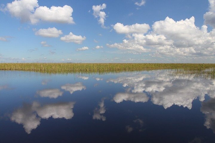 Everglades Airboat, Wildlife Exhibit, & Roundtrip Bus from Miami