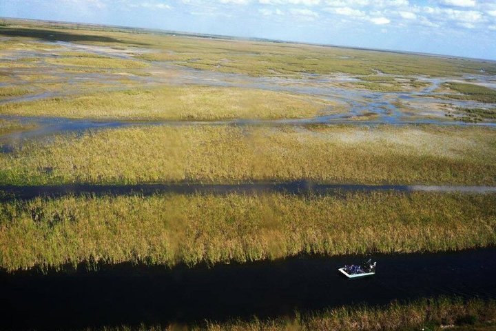 Everglades Airboat, Wildlife Exhibit, & Roundtrip Bus from Miami