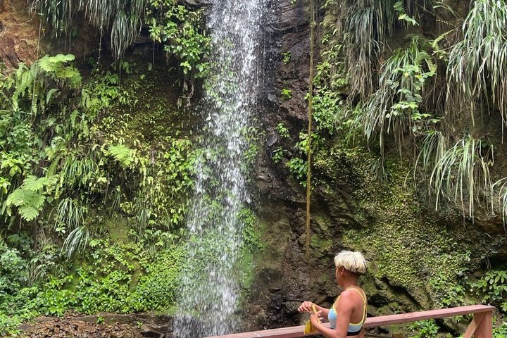 Fully Customized Private Saint Lucia Soufriere Land Experience