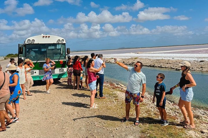 Bonaire's Best Day: Flamingos, Salt Flats, History & Beach