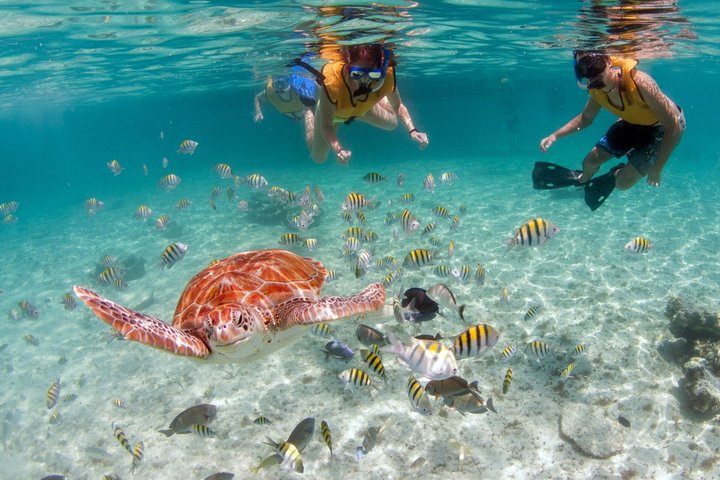 Galle Day Tour With Scenic Coastal Train Ride From Colombo