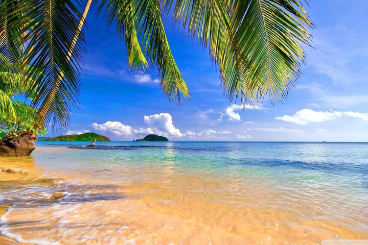 Galle Day Tour With Scenic Coastal Train Ride From Colombo