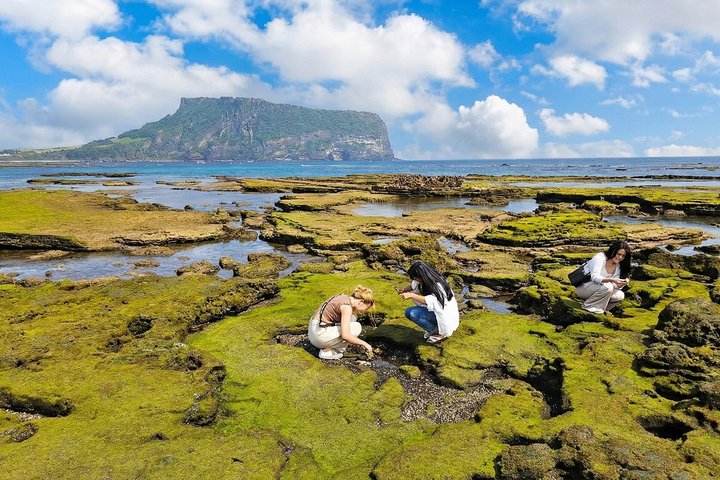Jeju East Essentials – Seongsan Ilchulbong (UNESCO) & Haenyeo