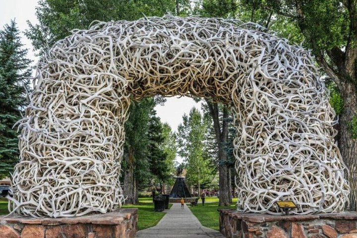 From Bozeman Classic Yellowstone and Teton Tour 2 Day and 1 Night